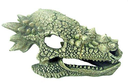 wave Dragon Skull B