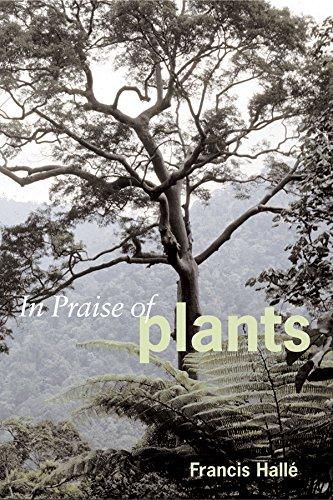 In Praise of Plants