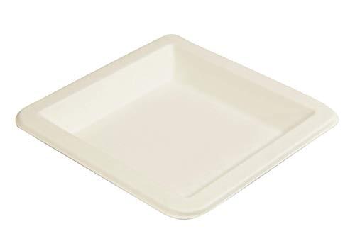 [50 COUNT]Harvest Pack 6.5-inch American Flag Patriotic Party Disposable Compostable Square Paper Plates, July Fourth Natural Bagasse Square Plates, From Eco-Friendly Sugarcane Plant Fibers