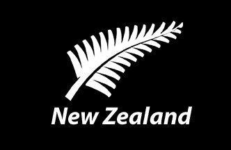 New Zealand Silver Fern 3'x2' Flag