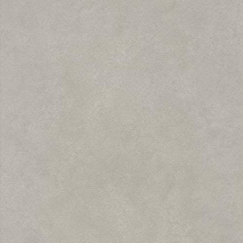 Liz Jordan-HillGrey Luxury Microsuede Upholstery Fabric by The Yard, Pet-Friendly Water Cleanable Stain Resistant Aquaclean Material for Furniture and DIY, AC Daytona Fog 76 (Sample)