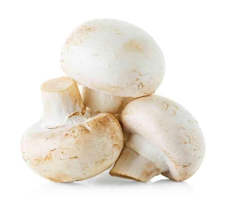 FreshtoHome | Mushroom White Kinoko | 250g Pack (UAE)