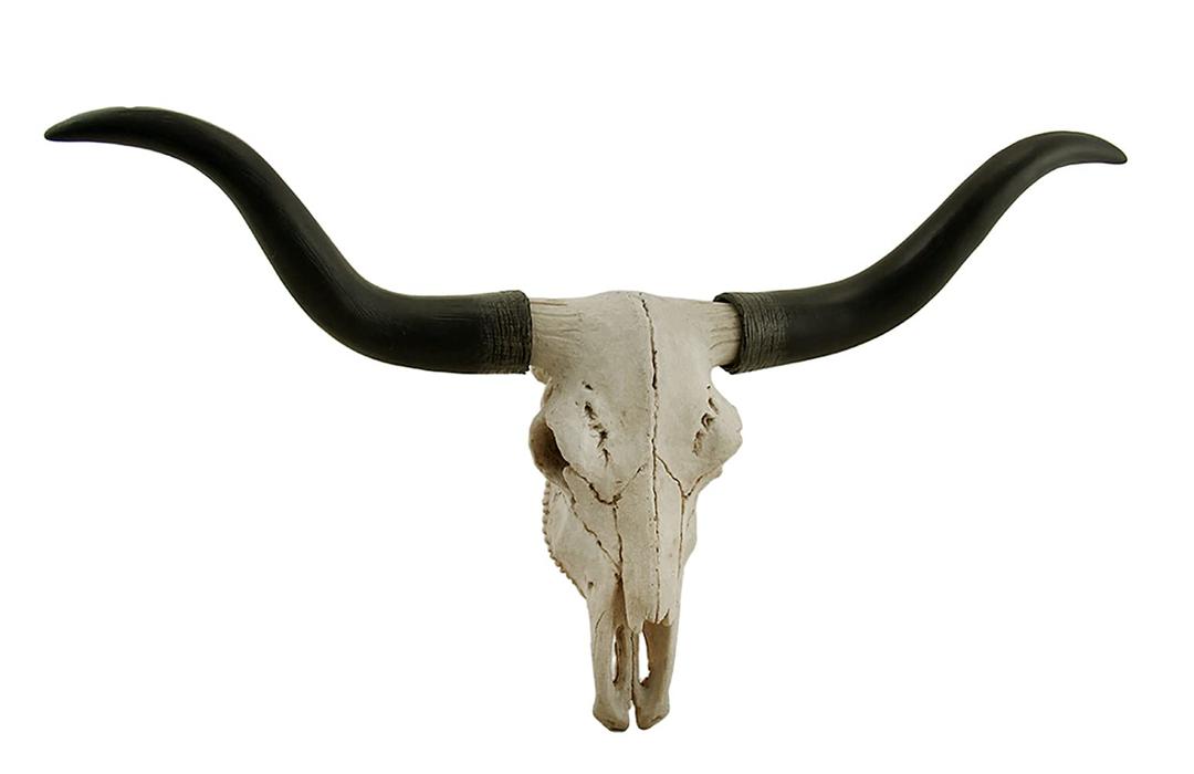 Handcrafted 20-Inch Black & Bone Longhorn Trophy Skull Wall Sculpture - Realistic Faux Steer Head with Intricate Detailing, Southwestern and Western Home Decor