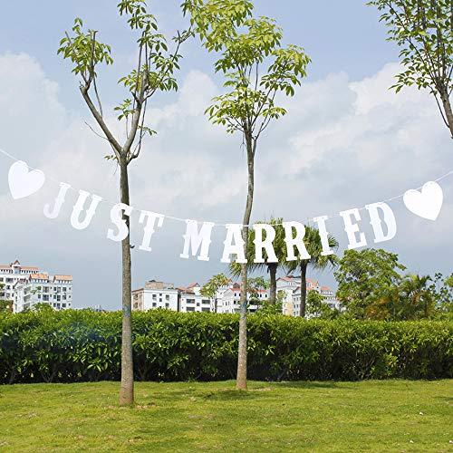 Just Married Banner Bunting, Wedding Party Sign Reception Decoration, Car Decorations, Prop Photos