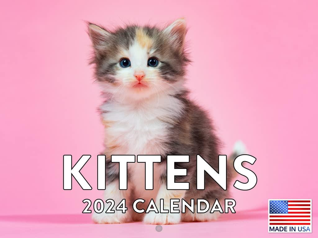 Kitten Calendar 2025 Cat Kitty Gifts Monthly Wall Calender 12 Month