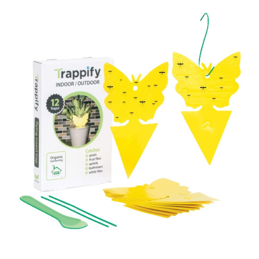 Trappify Sticky Gnat Traps for House Indoor - Yellow Fruit Fly Traps for Indoors/Outdoor Plant - Insect Catcher White Flies, Mosquitos, Fungus Gnat Trap, Flying Insects - Disposable Glue Trapper (12)