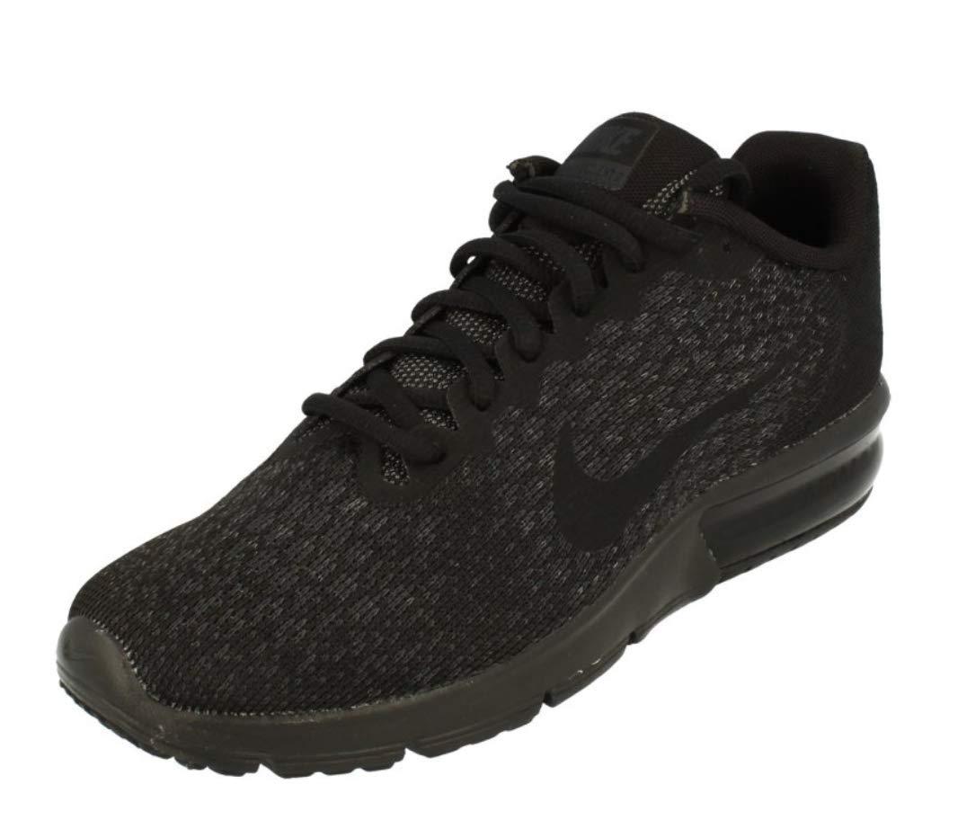 Nike Women's Air Max Sequent 2 Running Shoe