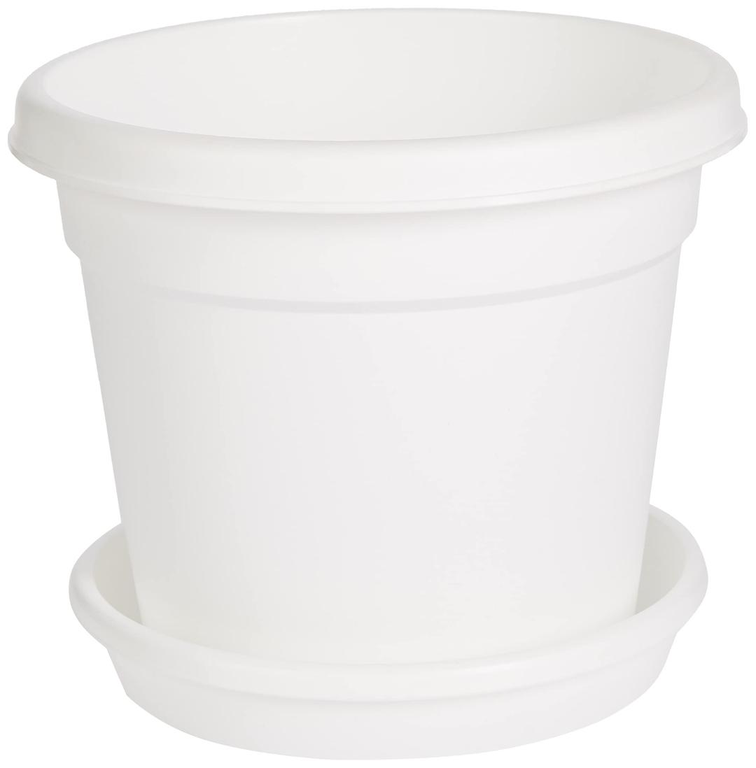 Cosmoplast Plastic Round Flowerpot 6” with Tray-P