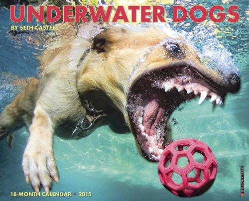 Underwater Dogs