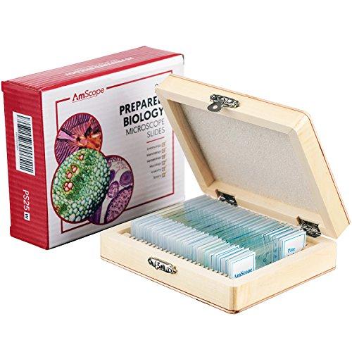 AmScopePS25 Prepared Microscope Slide Set for Basic Biological Science Education, 25 Slides, Includes Fitted Wooden Case Brown