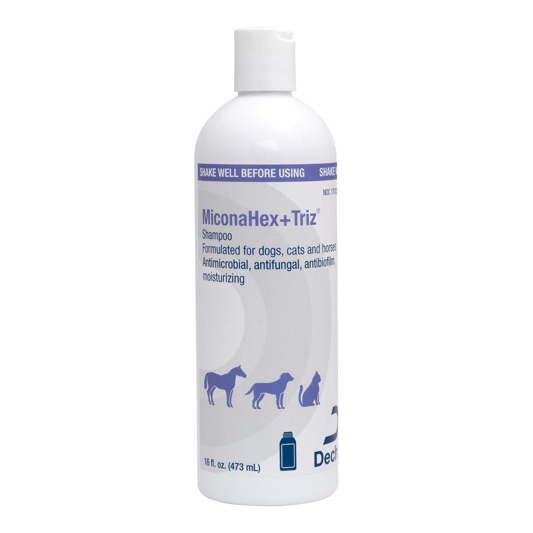 Shampoo for Dogs, Cats and Horses, 16 oz