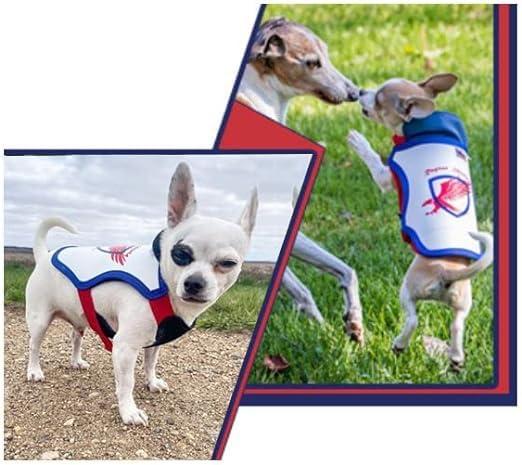 Puncture Resistant Pet Vest for Small Dogs — Talon-Proof Protection Against Attacks by Coyotes, Hawks, Birds of Prey, Made in The USA, Four Sizes— Large, 12-21 lbs, Chest 17.5 to 23"