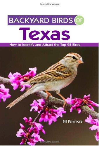 Backyard Birds of Texas: How to Identify and Attract the Top 25 Birds