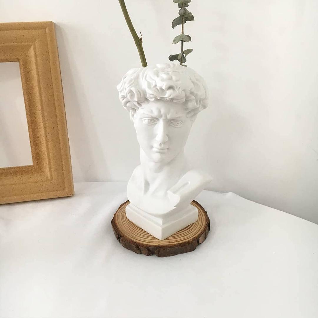 Dark Academia Room Decor, 6” David Bust Greek Statue Dark Academia Aesthetic Desk Decor Statue Flower pot