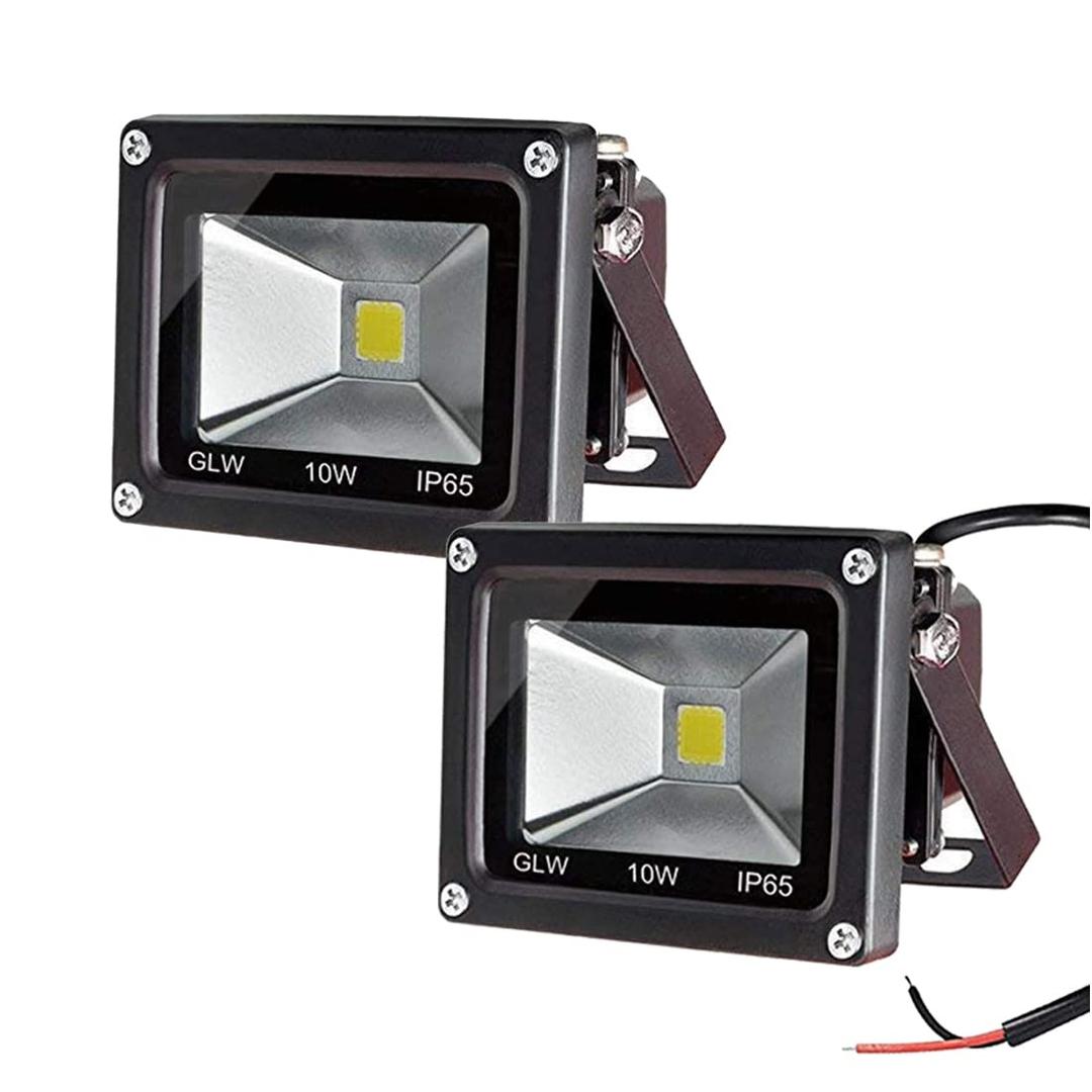 Led Flood Light 2 Pack 10W 12V Ac or Dc Warm White Outdoor Lights 750lm 80w Halogen Bulb Equivalent Black Case for Trees Yard