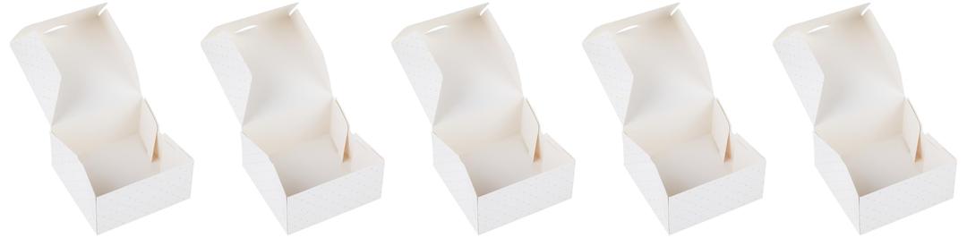 Hotpack Paper Cake Storage Boxes 15cm x 15cm, 5 Pieces