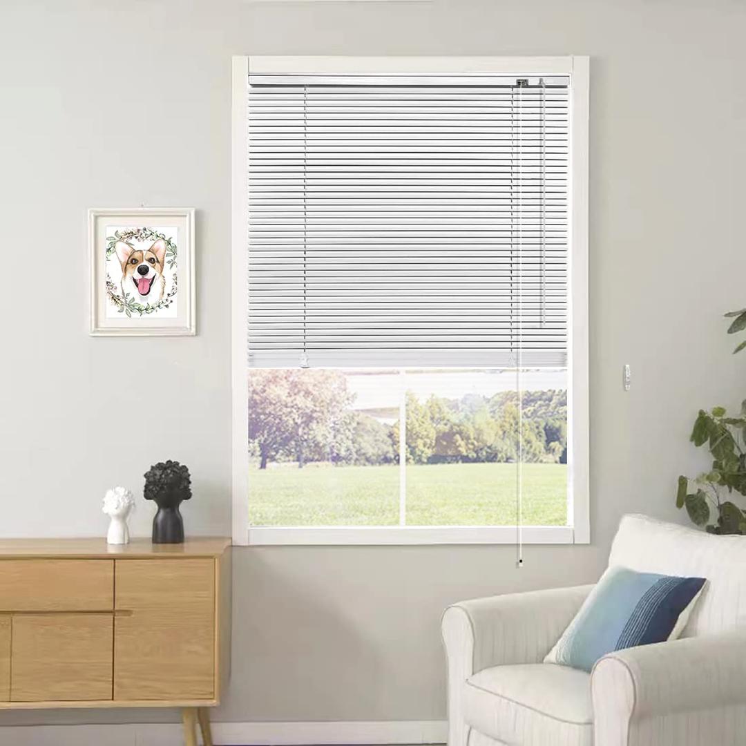 YIIBAII Mini Blinds for 36" W x 64" H Windows 1" Aluminum Horizontal Venetian Blinds Darkening with Rope and Pole can Mounted Inside or Outside