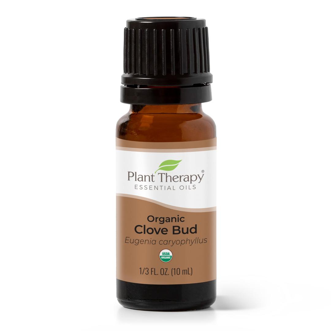 Plant TherapyOrganic Clove Bud Essential Oil 100% Pure, USDA Certified Organic, Undiluted, Natural Aromatherapy, Therapeutic Grade 10 mL (⅓ oz)