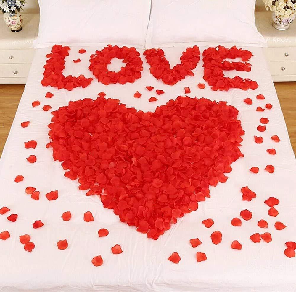 non brand 2000PCS Silk Rose Petals Artificial Fabric Flower Petals for Wedding Bridal Decor Valentine Ceremony Vase Home Hotel Garden Bouquet Party Decoration(Red)