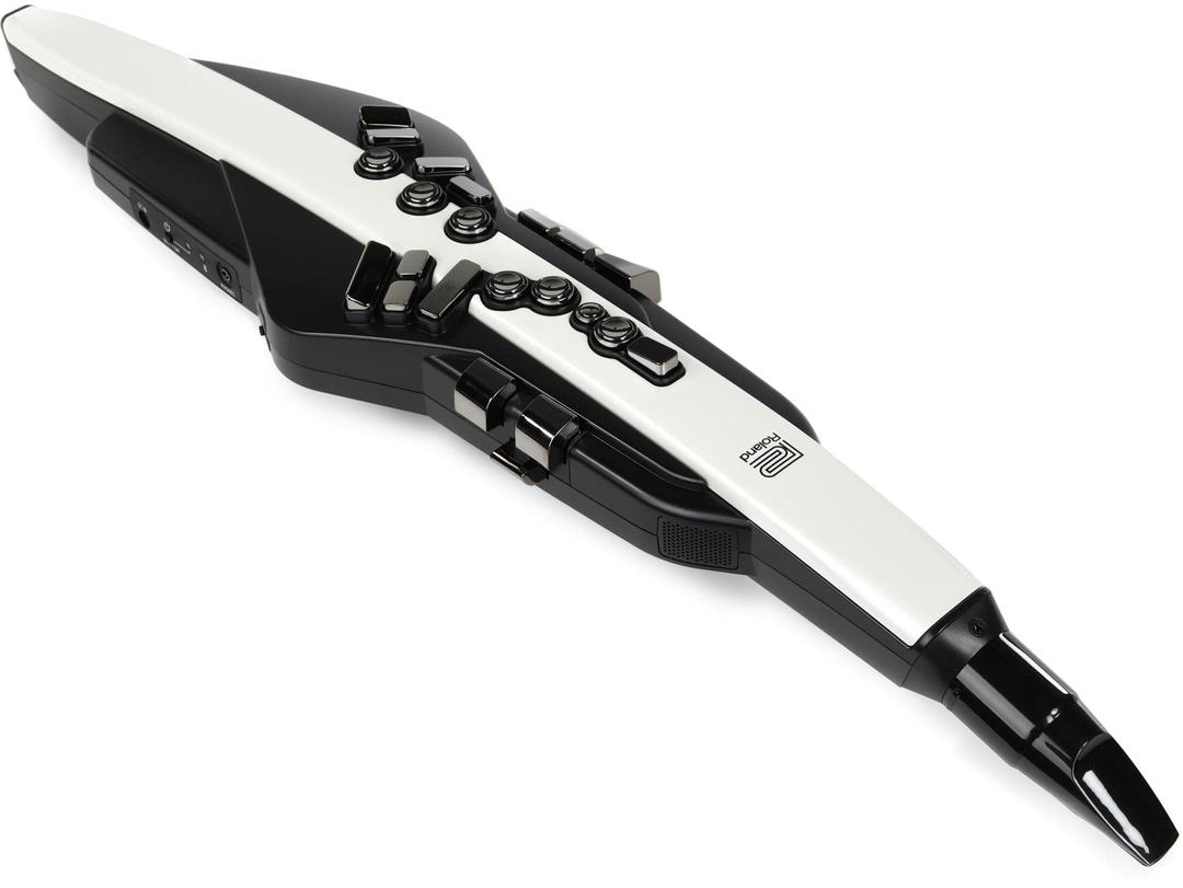 Roland Digital Wind Instrument, Matte Black and White (AE-20)