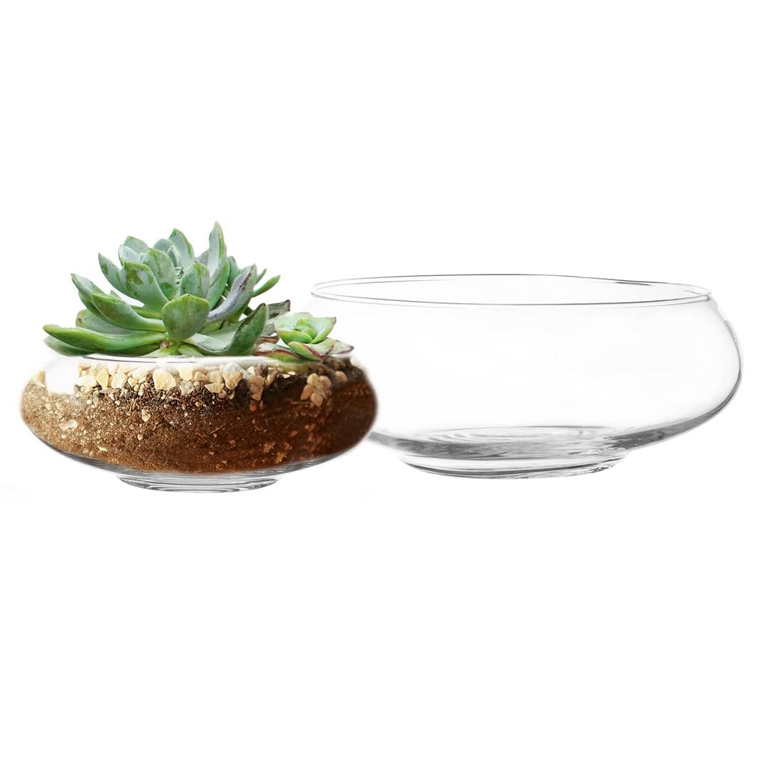 Royal Imports Flower Glass Vase, Bowl Terrarium Succulent Planter, Air Plant Hydroponic Display, Floating Candles Decorative Centerpiece Floral Container for Home or Wedding Set of 2, Clear