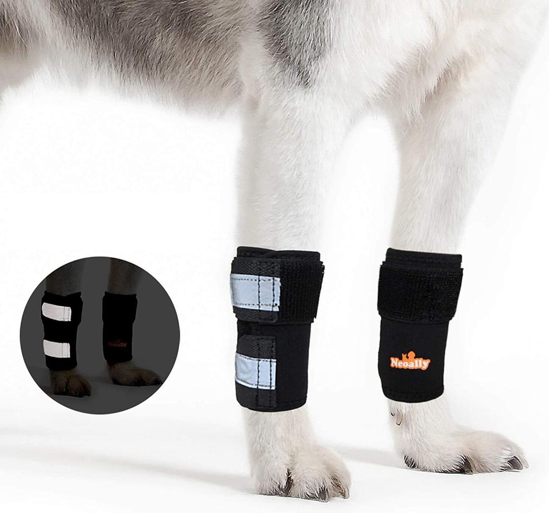 NeoAllyFront Leg Brace for Dogs and Cats, Dog Leg Brace for Improved Pet Mobility, Dog Leg Sleeve for Carpal Support, Dog Leg Sleeve with Reflective Straps, XXS to XS, Black, 1 Pair