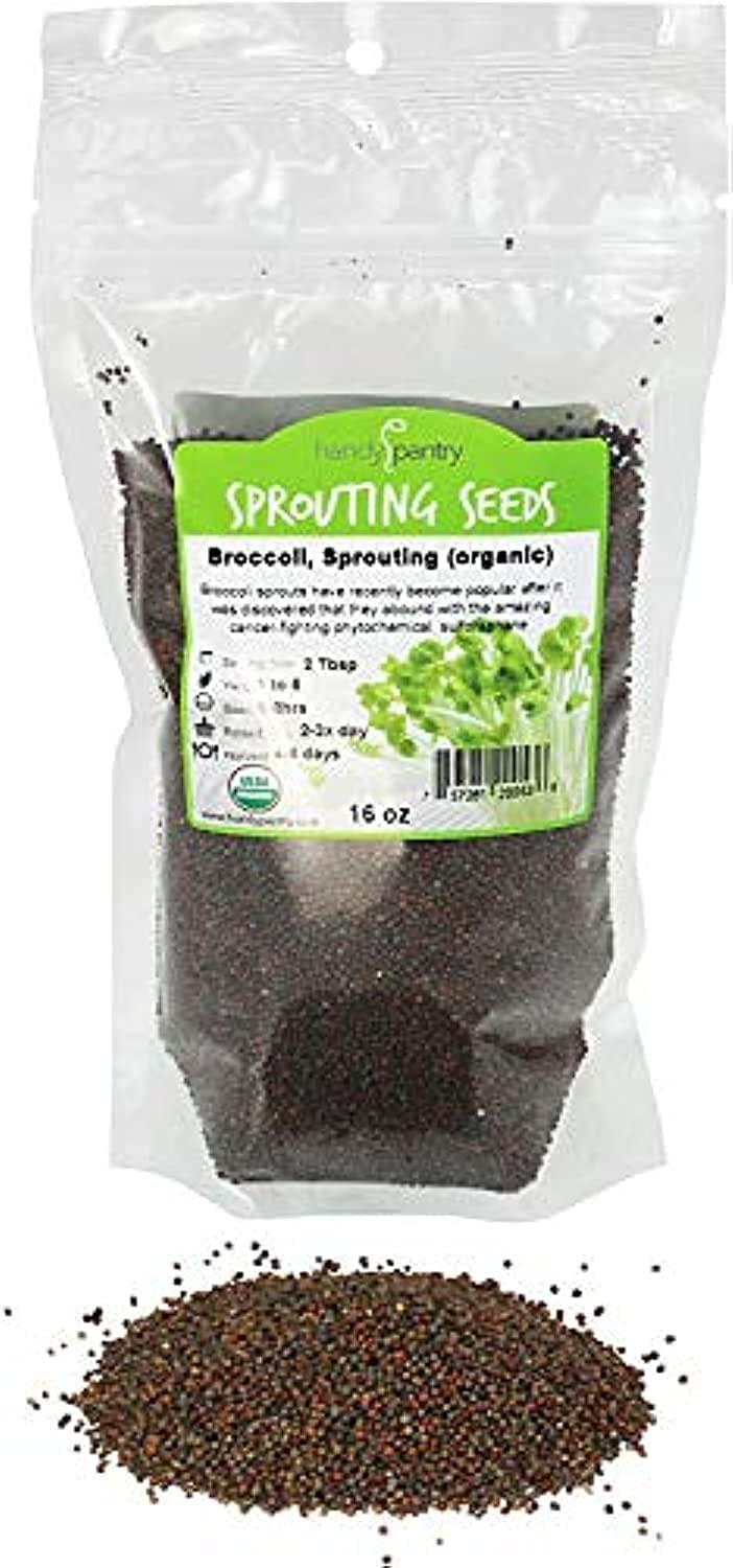 Handy Pantry Broccoli Sprouts Seeds Organic- 1 Lb - Non-GMO Organic Broccoli Seeds for Sprouting, Microgreens Sprouting Seeds, Contain Sulforaphane