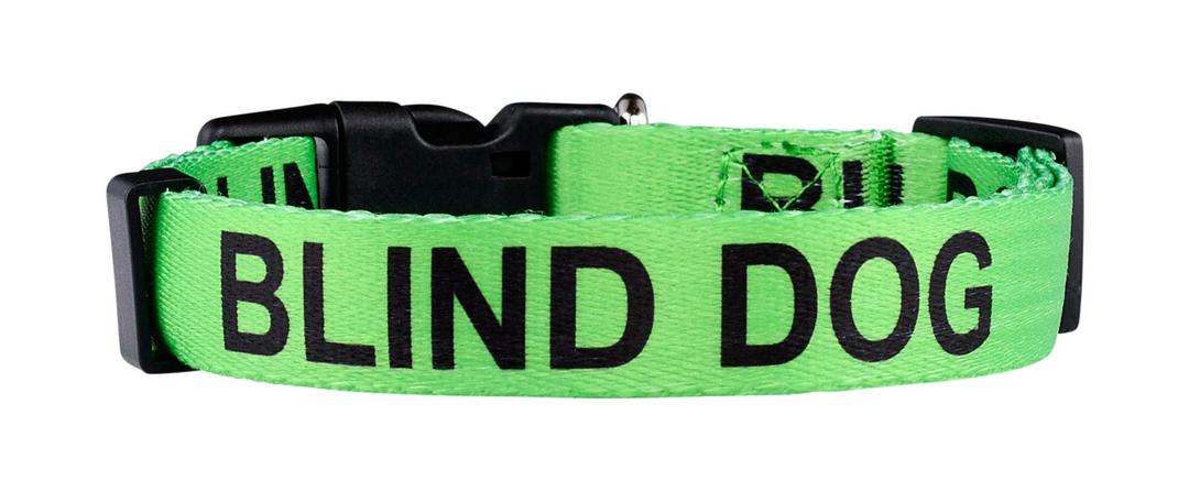 Native Pup Blind Dog Collar- Limited Sight Alert - Eye Catching Vibrant Green Color - Durable Nylon (Small)