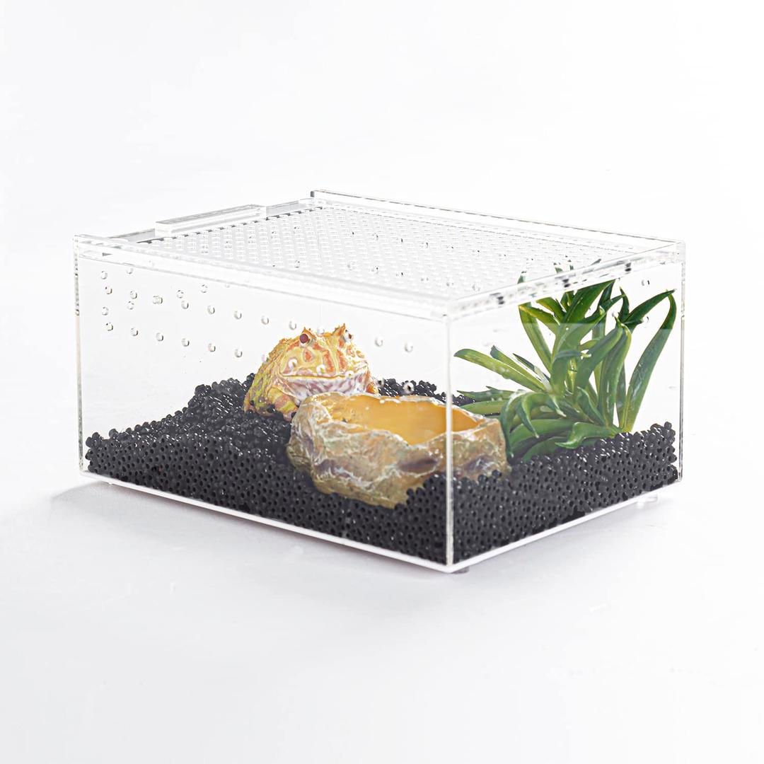 REPTI ZOO Magnetic Acrylic Reptile Enclosure, 8x6x4 Inch Flat Long Transparent Reptile Breeding Box Terrarium Cage for Tarantula Scorpion Sling Isopods Invertebrates Frog Spider Insect