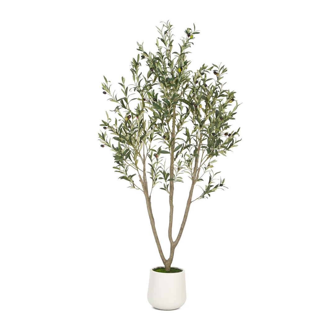 Olive Trees Artificial Indoor, 6FT Tall Faux Olive Tree with White Tall Planter, Artificial Plants with Natural Wood Trunk and Lifelike Fruits for Home Office Decor