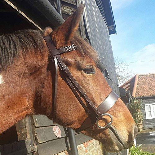 Equipride Plaited Working Hunter Bridle 2" Wide Noseband Plus Plaited Reins Cob Brown