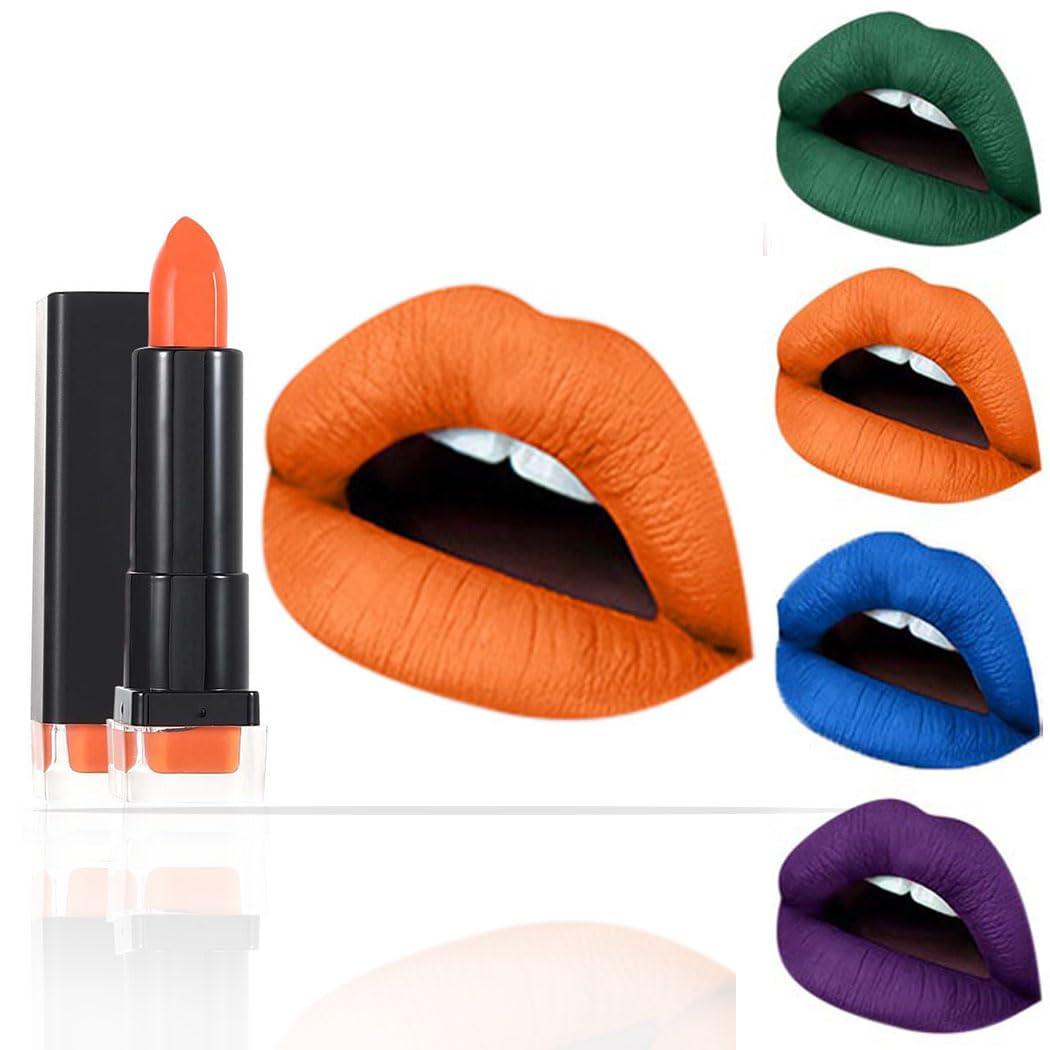 Kilshye Matte Lipstick Hight Pigment Lipsticks Long Lasting Lip Stick Waterproof Lips Gloss Cream Lipgloss Makeup for Women and Girls Pack of 1 (I- Orange 14)