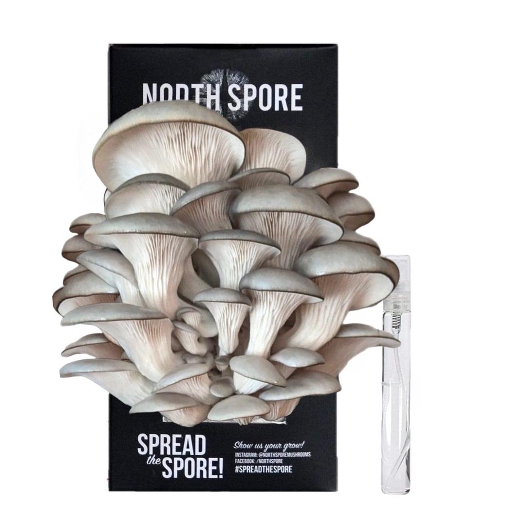 North Spore Organic Blue Oyster Mushroom Spray & Grow Kit (4 lbs) | USDA Certified Organic, Non-GMO, Beginner Friendly & Easy to Use | Handmade in Maine, USA (Blue Oyster Grow Kit, 1 Count)