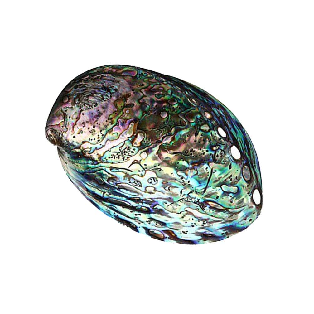 IMIKEYA Natural Abalone Seashell Highly Polished,Smudging Abalone Shell,White Sage Burner Holder for Cleansing,Meditation, Smudging and Purification(10-12cm)