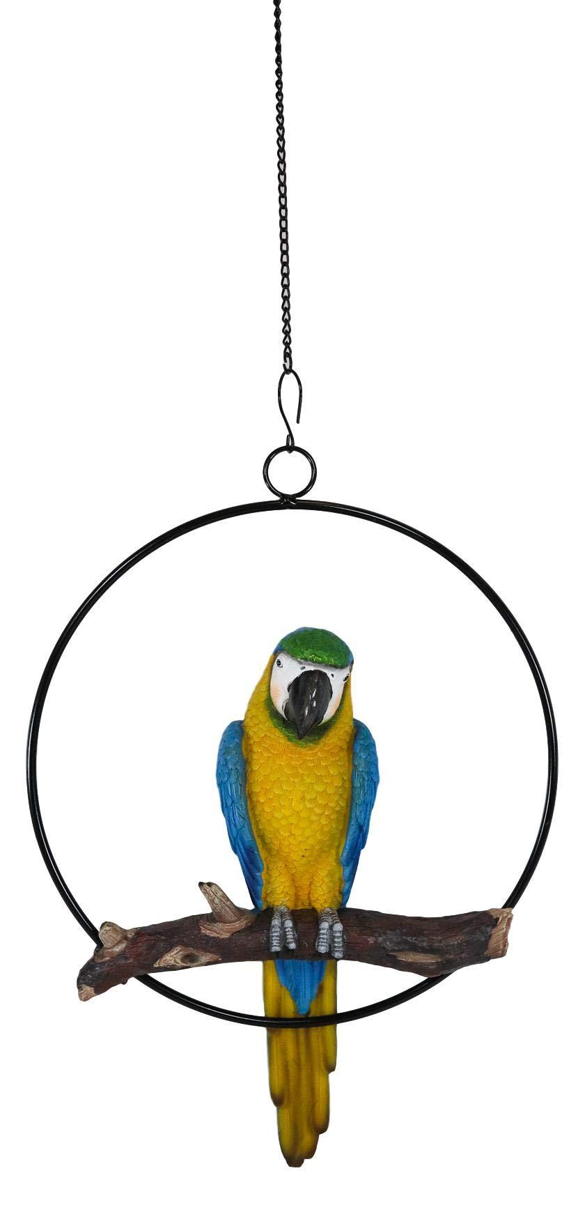 Ebros Patio Home Garden Hanging Scarlet Macaw Parrot Perching on Branch in Metal Round Ring Figurine Sculpture Nature Lovers Tropical Bird Collectors Decor 13.5" H (Blue)