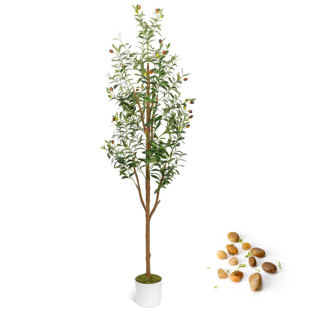 Artificial Olive Trees 6FT - Large Faux Olive Tree for Indoor with White Planter, Tall Fake Olive Silk Tree Realistic Olive Plants with Branches and Fruits for Home Decor Office Living Room