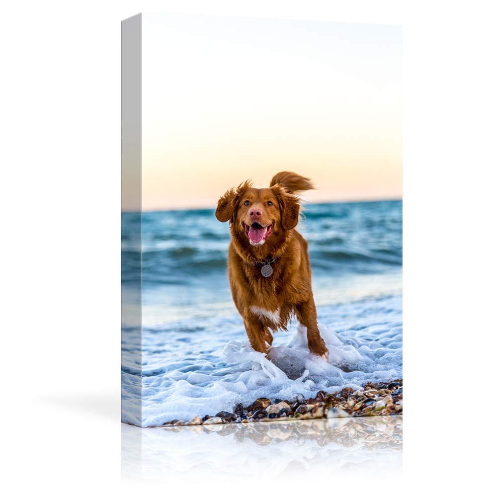 Custom Canvas Prints with Your Photos for Pet/Animal, Personalized Canvas Pictures for Wall to Print Framed 14x11 inches