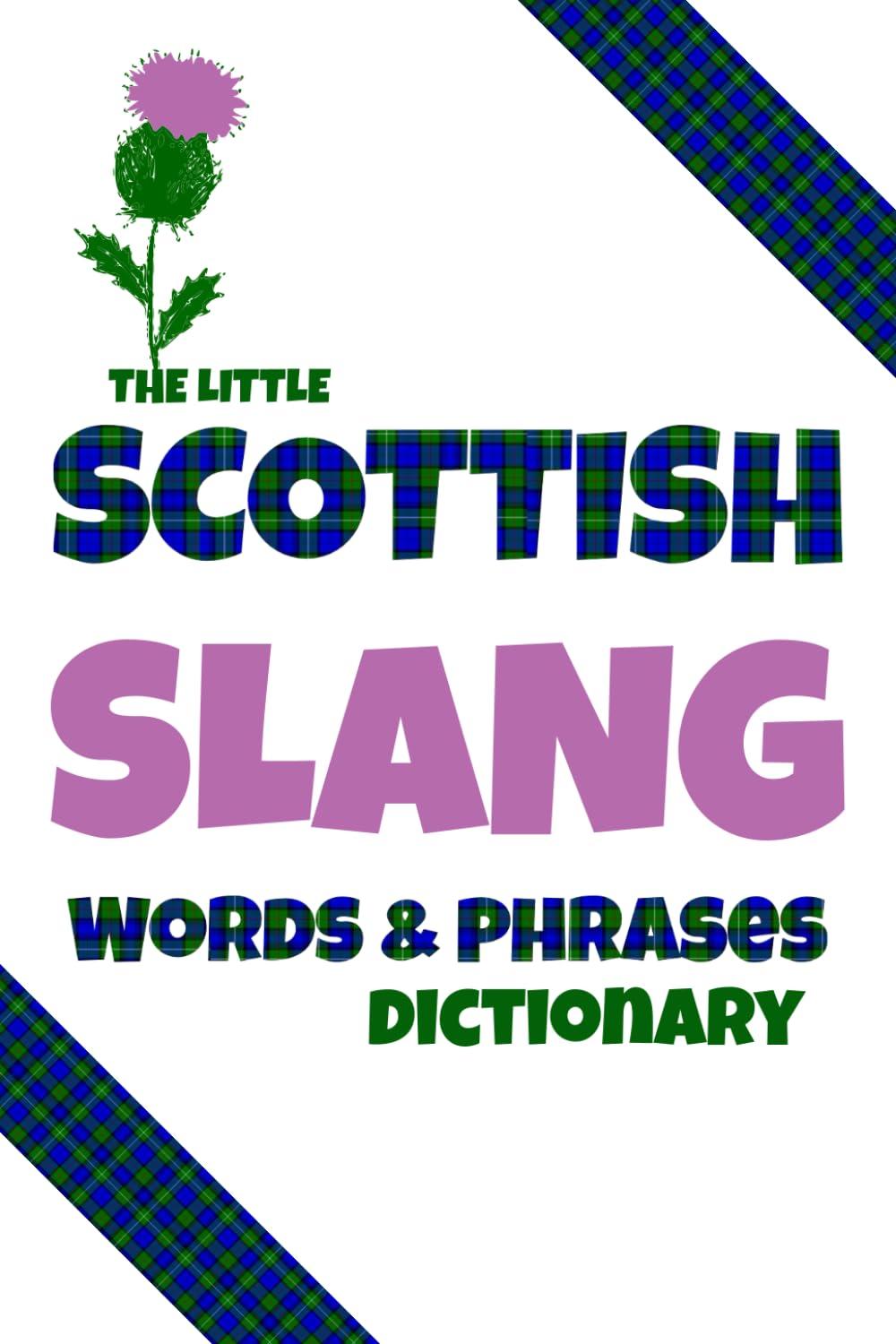 Mary McbaeeThe Little Scottish Slang Words & Phrases Dictionary