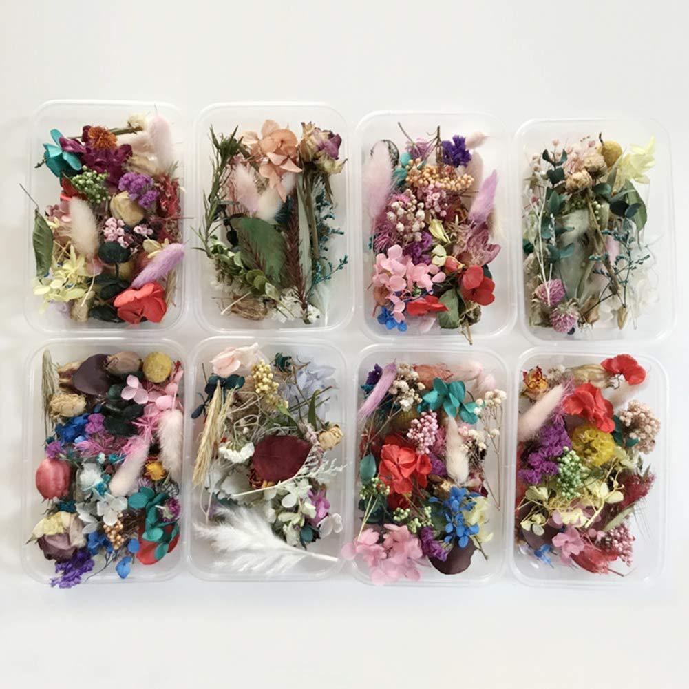 BrawljRORtyBrawljRORty Artificial Flowers Simulation Flowers 1 Box Preserved Dried Flower Plant DIY Candle Resin Jewelry Making Craft Decor, Baby Shower Home Decorations