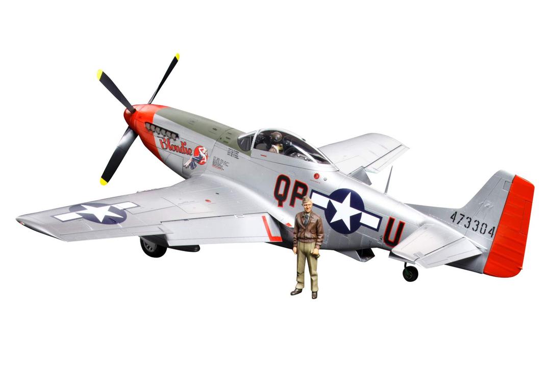 TAMIYA P-51D Mustang Hobby Model Kit (TM60322), 168 months to 1200 months