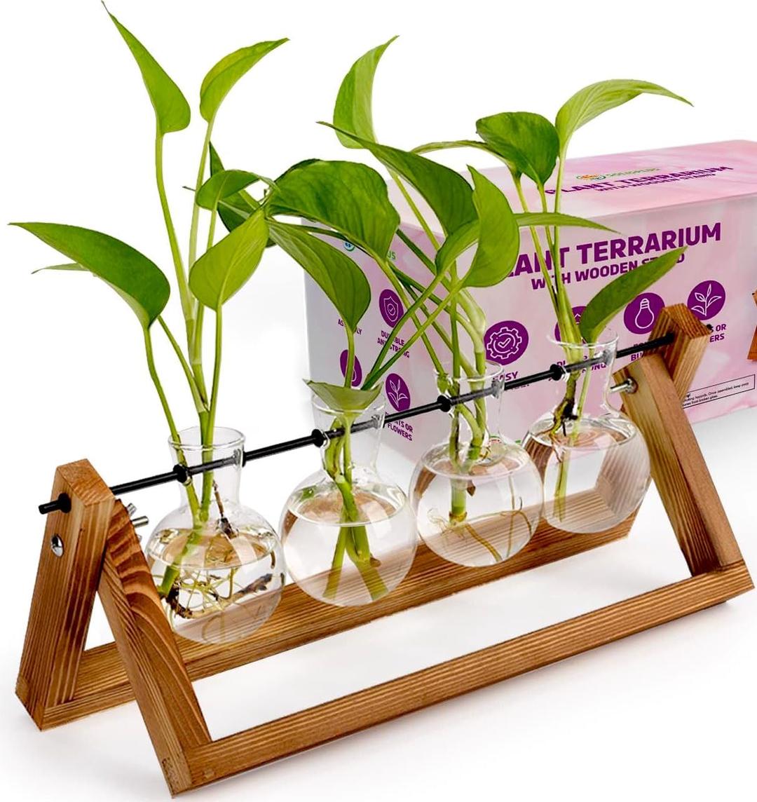 Plant Propagation Station Terrarium with Wooden Stand – Plant Terrarium Stand with 4 Glass Planters for Indoor Plants – Air Plant Holder for Women