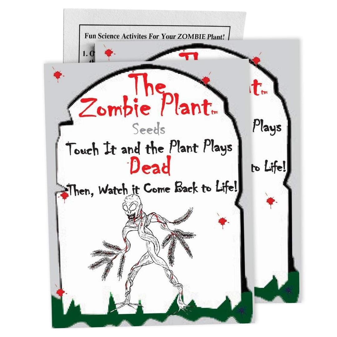 Zombie Plant Seed Packets (2) – Grow Your own Live Zombie Plant! Watch it Play Dead When Touched. Comes Back to Life in Minutes! Educational Christmas Stocking Stuffers, and Interactive Indoor Fun!