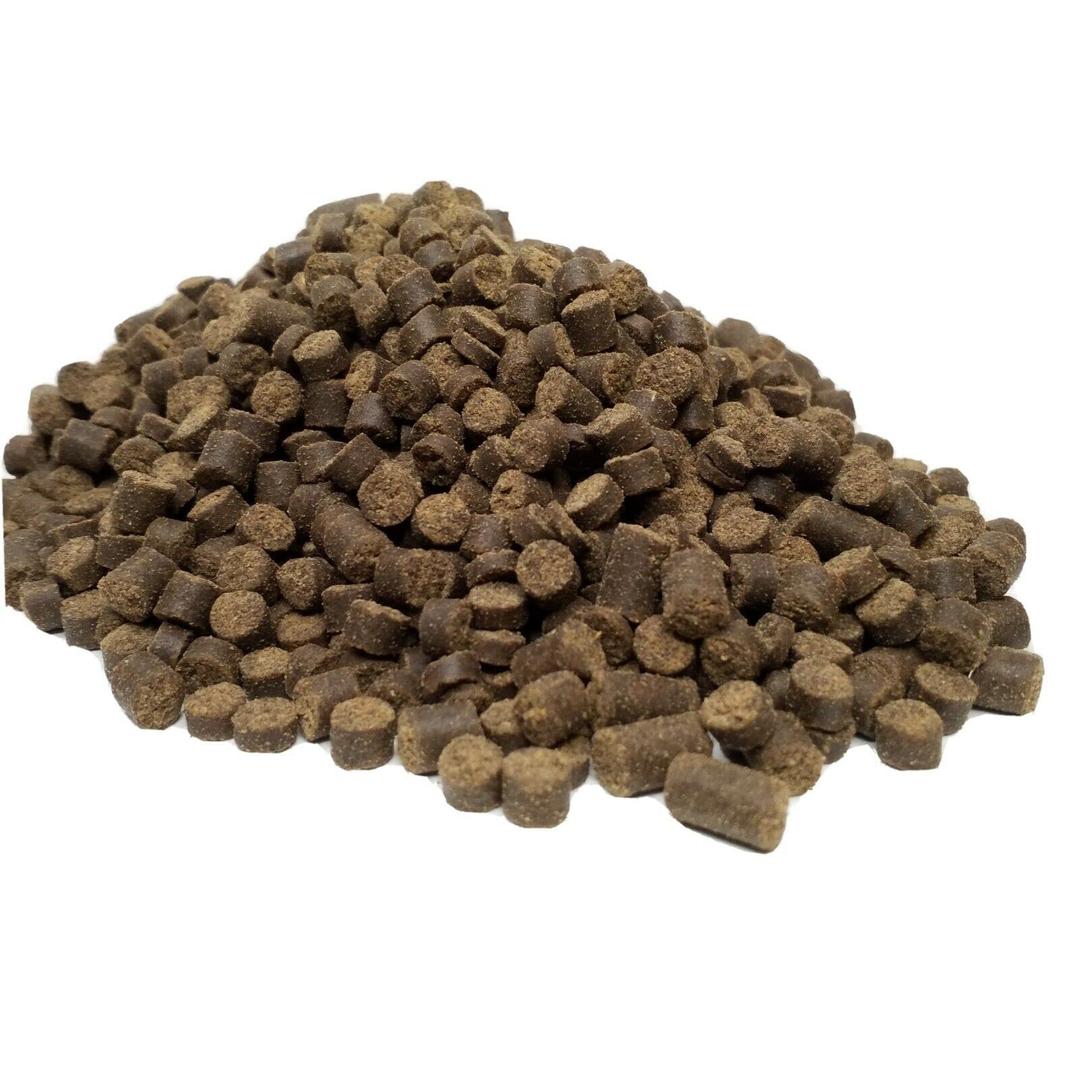 Aquatic Foods Inc. Adult Axolotl Food 1/4 inch Soft Moist Sinking Pellets for Axolotls, Shrimp, Snails, Large Tropical Fish Rangen Salmon Pellets. Premium Pellet 1/4-lb