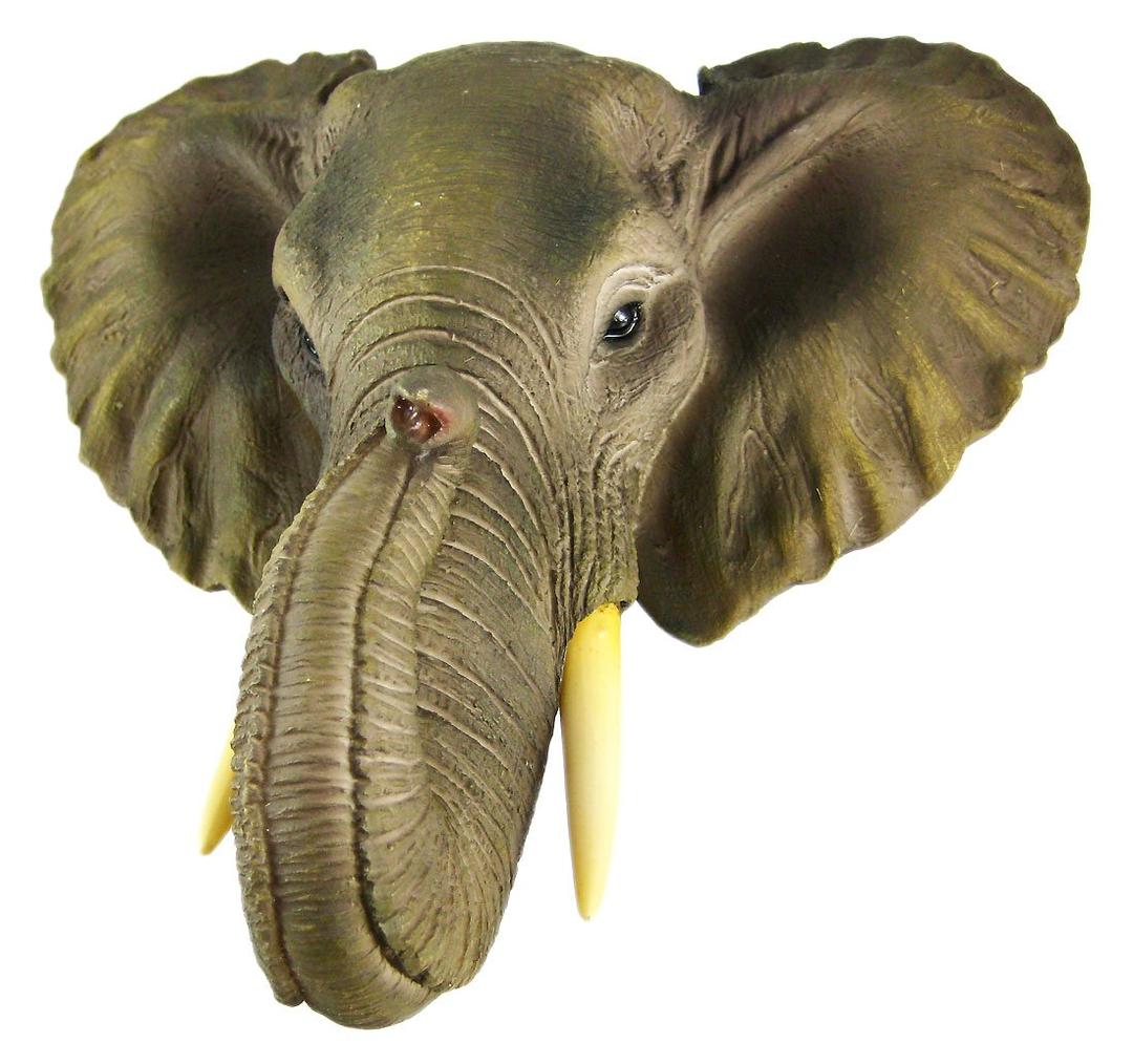 Wonder World African Elephant Head Mount Wall Statue Mini Bust 9 in.