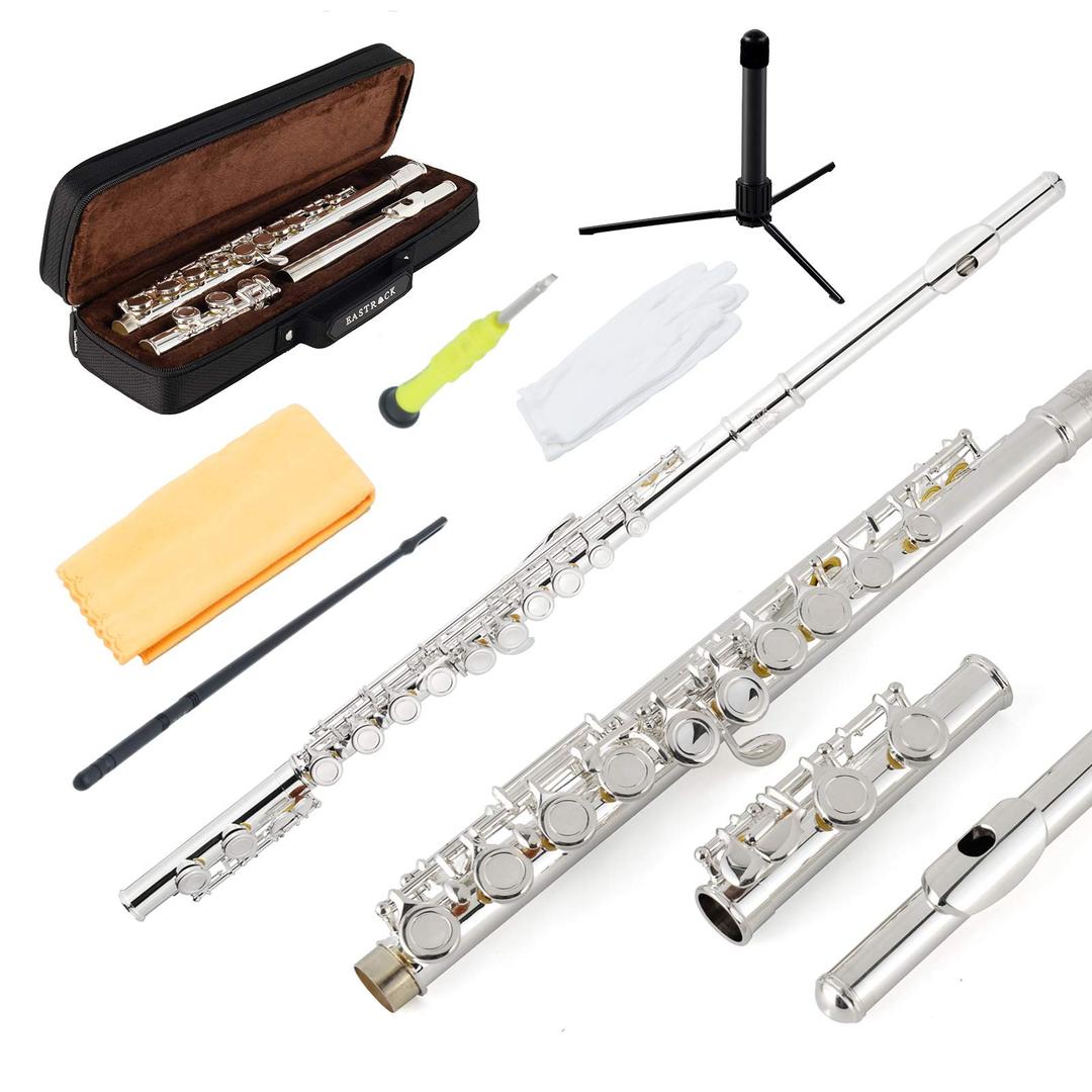 EastRock C Flute Silver Open Hole,16 Key Flute Musical Instrument with Carrying Case, Stand, Gloves, Cleaning Cloth and Rod for Beginner,Kids, Student (Silver Plated)