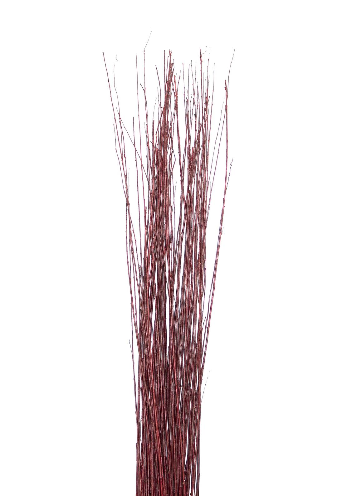 Green Floral Craft | 90-100 Stem Dried Asian Willow Decorative Branches 4-5 Feet Tall - Perfect Home Decoration and Floor Vase Filler (Wine Red)