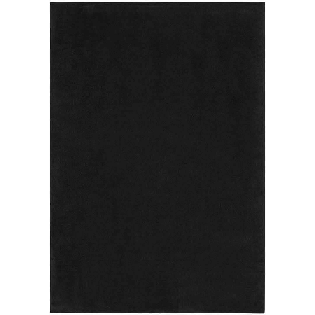 Nourison Essentials Indoor/Outdoor Black 4' x 6' Area Rug, Easy Cleaning, Non Shedding, Bed Room, Living Room, Dining Room, Backyard, Deck, Patio (4x6)