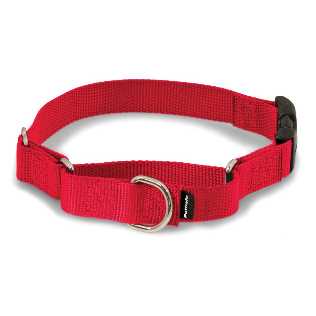 PetSafe Martingale Dog Collar with Quick-Snap Buckle - Large, 1 Inch, Red