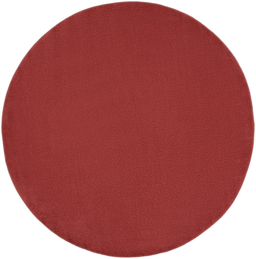 Nourison Essentials Indoor/Outdoor Area Rug 6', Brick Red, Round Easy -Cleaning Non Shedding Bed Room Living Room Dining Room Backyard Deck Patio