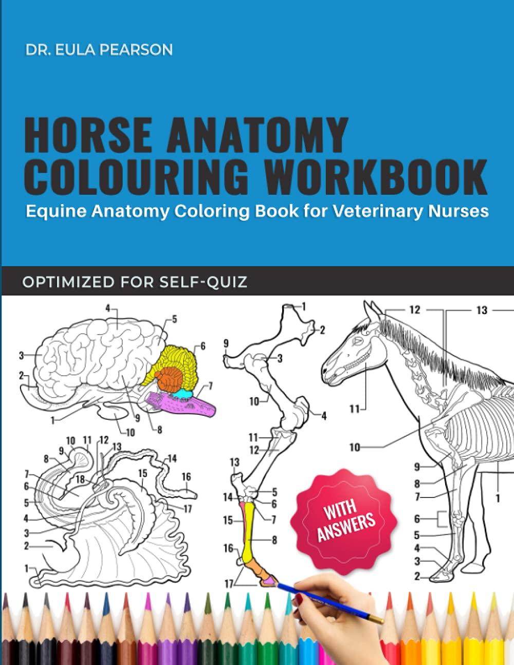 Horse Anatomy Colouring Workbook - Equine Anatomy Colouring Book for Veterinary Nurses - Optimized for Self-Quiz: The Horse Anatomy & Physiology ... Nurses & Students, horse lovers, girls, boys